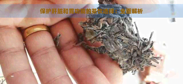 保护肝脏和胃功能的茶饮选择：全面解析