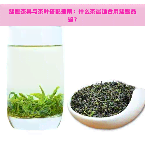 建盏茶具与茶叶搭配指南：什么茶最适合用建盏品鉴？