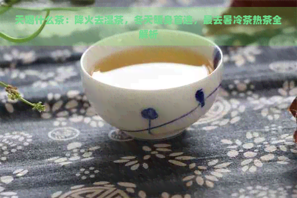 天喝什么茶：降火去湿茶，冬天暖身首选，最去暑冷茶热茶全解析