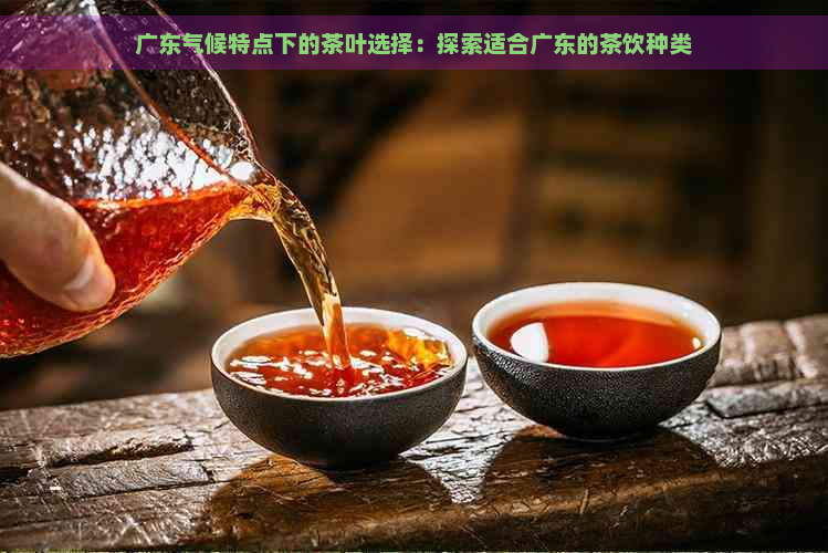 广东气候特点下的茶叶选择：探索适合广东的茶饮种类