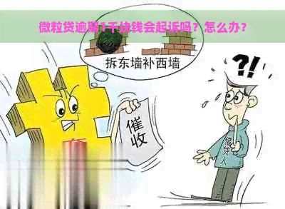 微粒贷逾期1千块钱会起诉吗？怎么办？