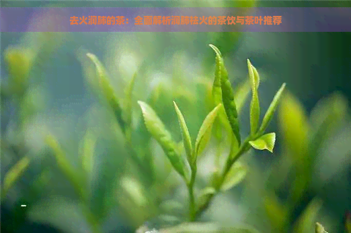 去火润肺的茶：全面解析润肺祛火的茶饮与茶叶推荐