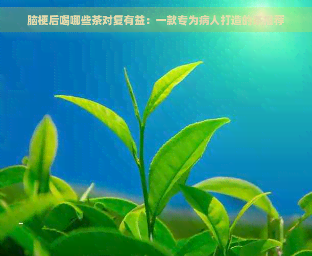 脑梗后喝哪些茶对复有益：一款专为病人打造的茶推荐