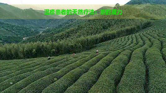 湿疹患者的天然疗法：茶的魔力