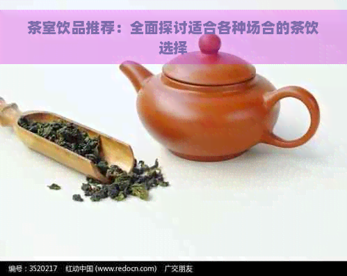 茶室饮品推荐：全面探讨适合各种场合的茶饮选择