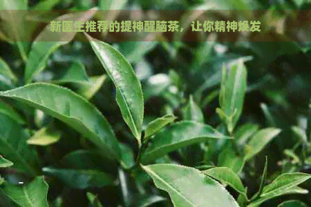 新医生推荐的提神醒脑茶，让你精神焕发