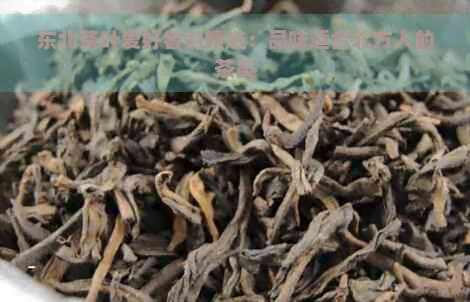 东北茶叶爱好者的精选：品味适合北方人的茶类