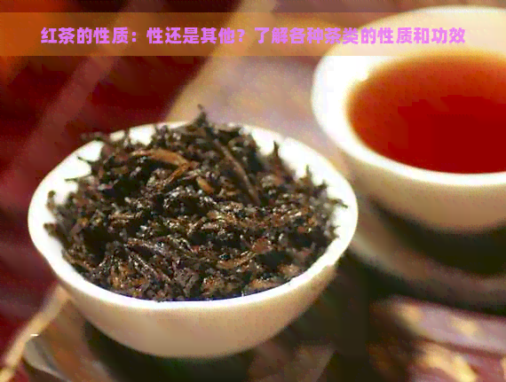 红茶的性质：性还是其他？了解各种茶类的性质和功效