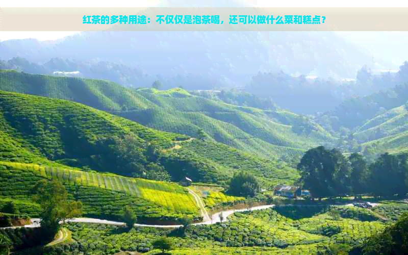 红茶的多种用途：不仅仅是泡茶喝，还可以做什么菜和糕点？