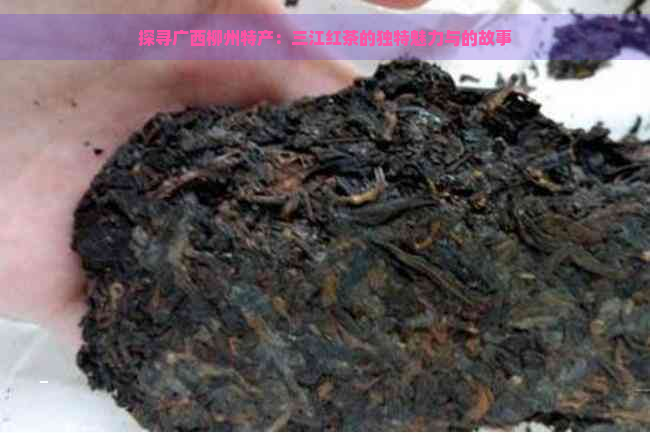 探寻广西柳州特产：三江红茶的独特魅力与的故事