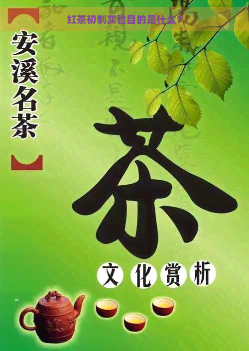 红茶初制实验目的是什么？