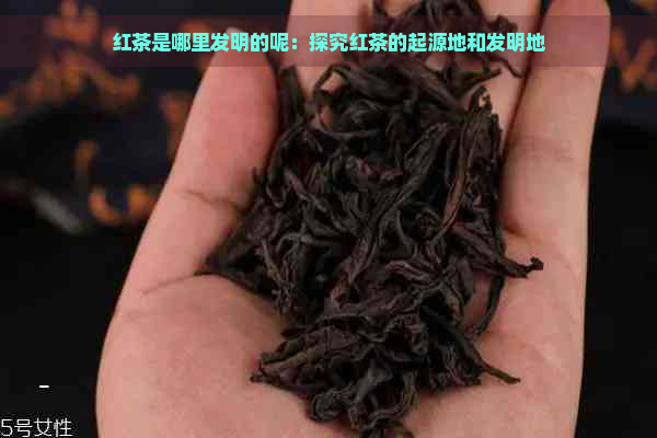 红茶是哪里发明的呢：探究红茶的起源地和发明地