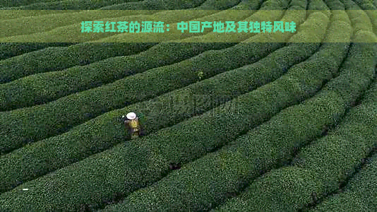 探索红茶的源流：中国产地及其独特风味