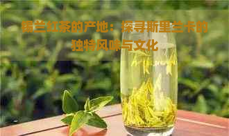 锡兰红茶的产地：探寻斯里兰卡的独特风味与文化