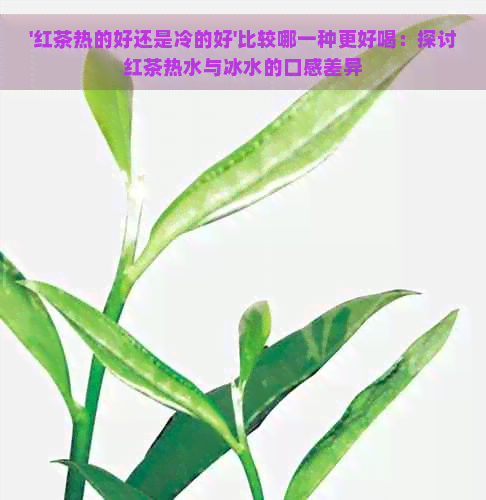 '红茶热的好还是冷的好'比较哪一种更好喝：探讨红茶热水与冰水的口感差异