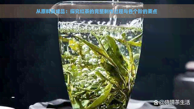 从原料到成品：探究红茶的完整制作过程与各个阶的要点