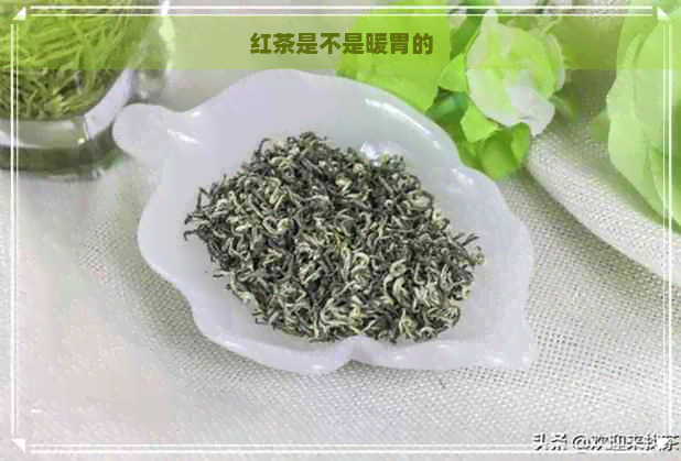 红茶是不是暖胃的