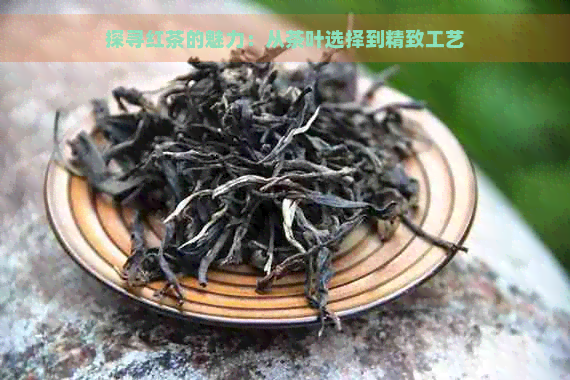 探寻红茶的魅力：从茶叶选择到精致工艺