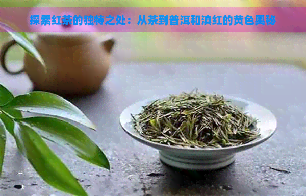 探索红茶的独特之处：从茶到普洱和滇红的黄色奥秘