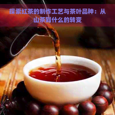 探索红茶的制作工艺与茶叶品种：从山茶到什么的转变