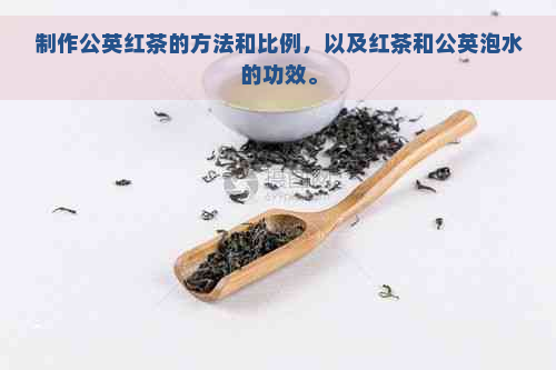 制作公英红茶的方法和比例，以及红茶和公英泡水的功效。