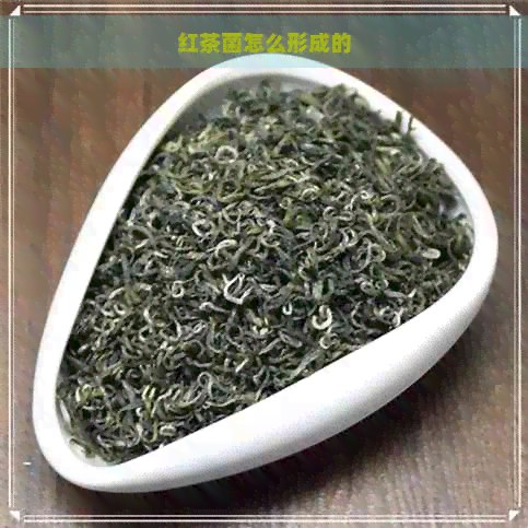 红茶菌怎么形成的