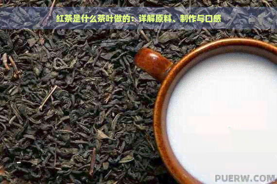 红茶是什么茶叶做的：详解原料、制作与口感