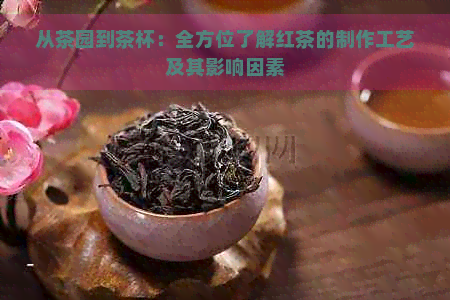 从茶园到茶杯：全方位了解红茶的制作工艺及其影响因素