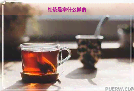 红茶是拿什么做的