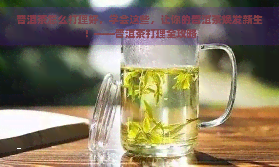 普洱茶怎么打理好，学会这些，让你的普洱茶焕发新生！——普洱茶打理全攻略