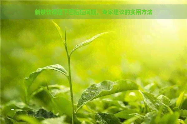 新茶饮调理下巴痘痘问题，专家建议的实用方法