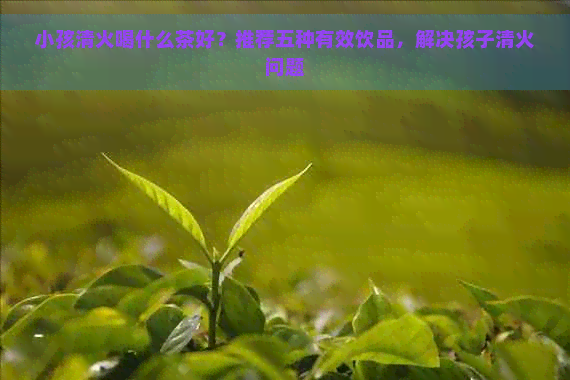 小孩清火喝什么茶好？推荐五种有效饮品，解决孩子清火问题