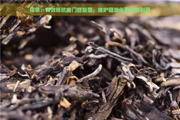 福茶：有效抵抗幽门螺旋菌，维护健消化系统的利器