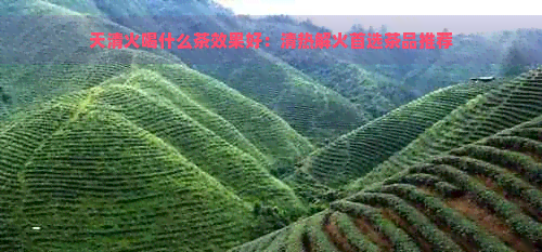 天清火喝什么茶效果好：清热解火首选茶品推荐