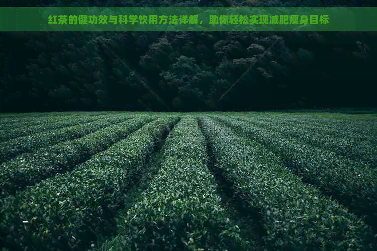 红茶的健功效与科学饮用方法详解，助你轻松实现减肥瘦身目标