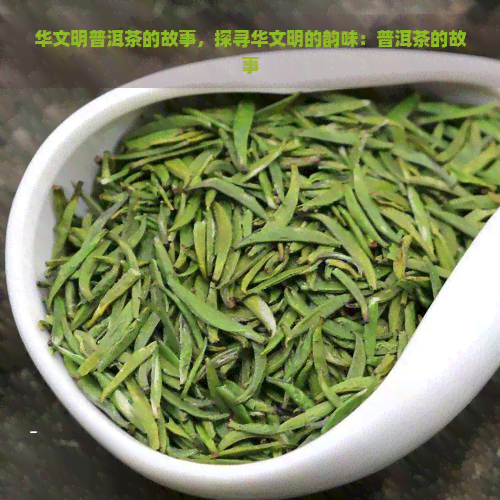 华文明普洱茶的故事，探寻华文明的韵味：普洱茶的故事