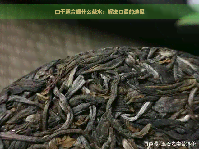 口干适合喝什么茶水：解决口渴的选择