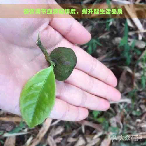 茶饮调节血液粘稠度，提升健生活品质