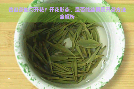 普洱茶如何开花？开花形态、是否能结果及开茶方法全解析