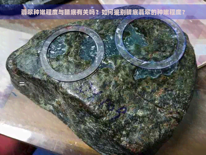 翡翠种嫩程度与晴底有关吗？如何鉴别晴底翡翠的种嫩程度？