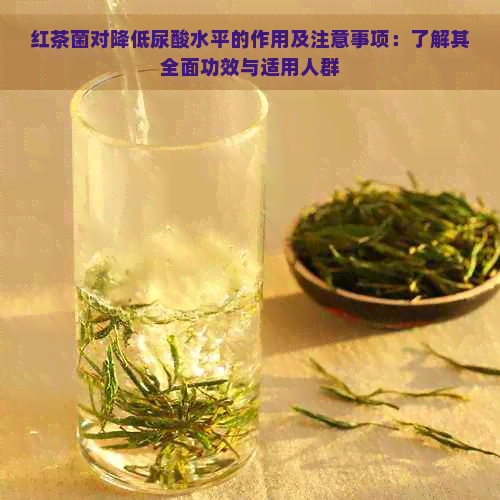 红茶菌对降低尿酸水平的作用及注意事项：了解其全面功效与适用人群