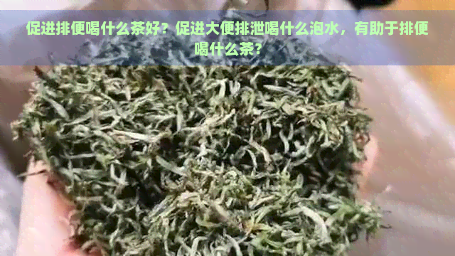 促进排便喝什么茶好？促进大便排泄喝什么泡水，有助于排便喝什么茶？