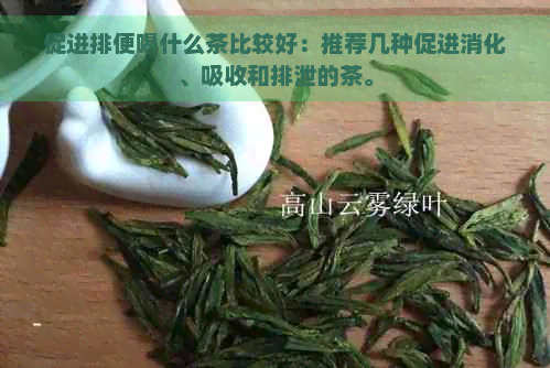 促进排便喝什么茶比较好：推荐几种促进消化、吸收和排泄的茶。