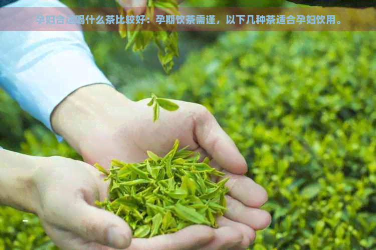 孕妇合适喝什么茶比较好：孕期饮茶需谨，以下几种茶适合孕妇饮用。