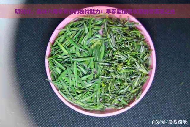 明时分，品味八角亭青饼的独特魅力：早春最值得收藏的普洱茶之光