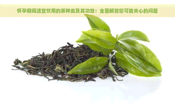 怀孕期间适宜饮用的茶种类及其功效：全面解答您可能关心的问题