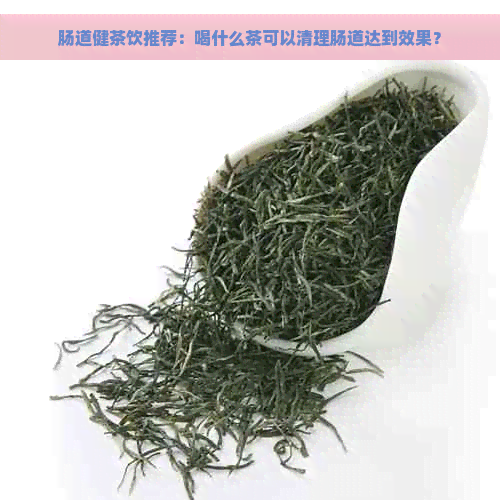 肠道健茶饮推荐：喝什么茶可以清理肠道达到效果？