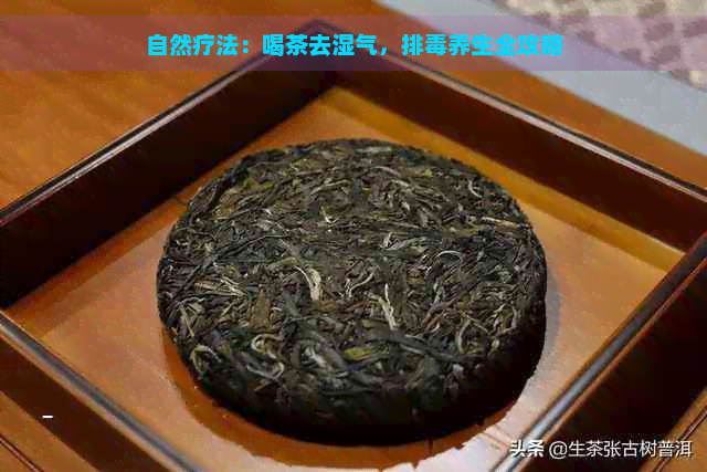 自然疗法：喝茶去湿气，排养生全攻略