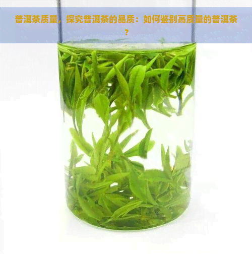 普洱茶质量，探究普洱茶的品质：如何鉴别高质量的普洱茶？