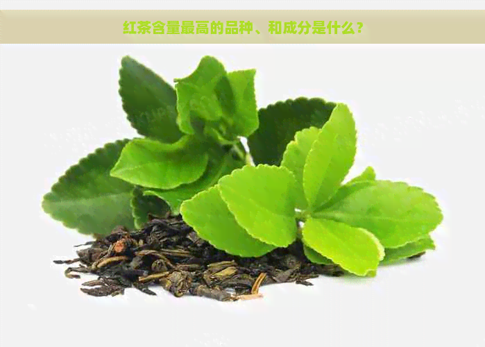 红茶含量更高的品种、和成分是什么？